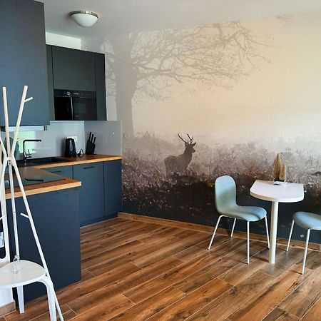 Horsky Apartman Klinovecke Louky 120-4 Loučná pod Klínovcem Exteriör bild